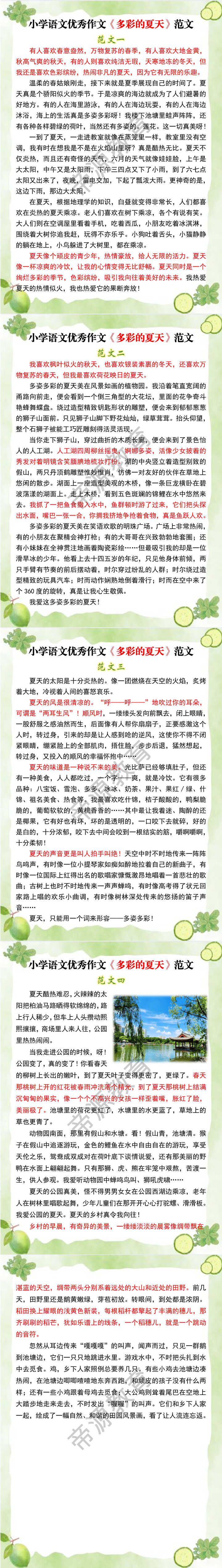 小学语文优秀作文《多彩的夏天》范文
