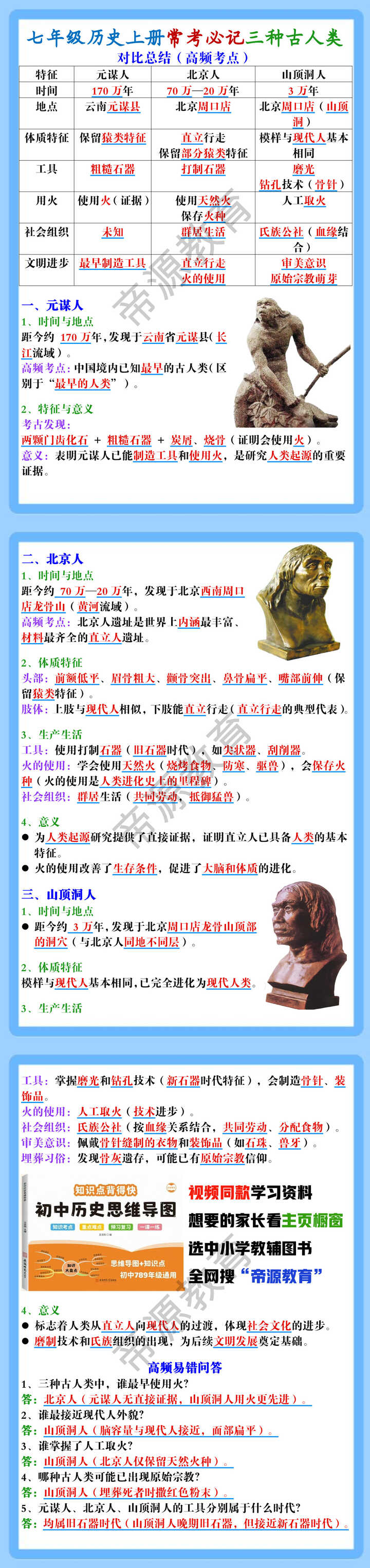 七年级历史上册常考必记三种古人类