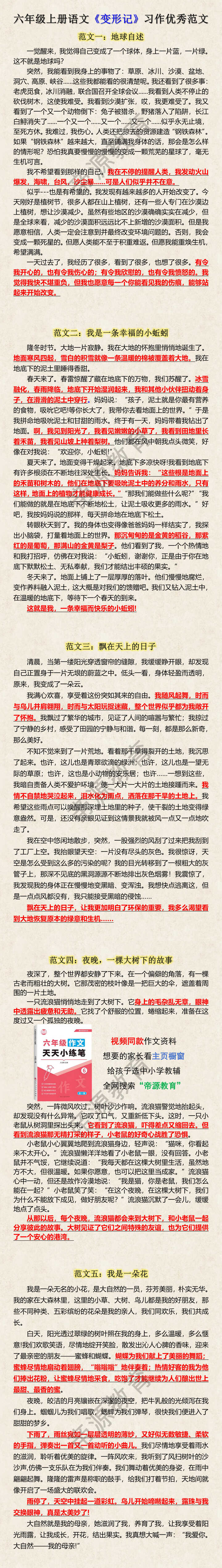 六年级上册语文《变形记》习作优秀范文