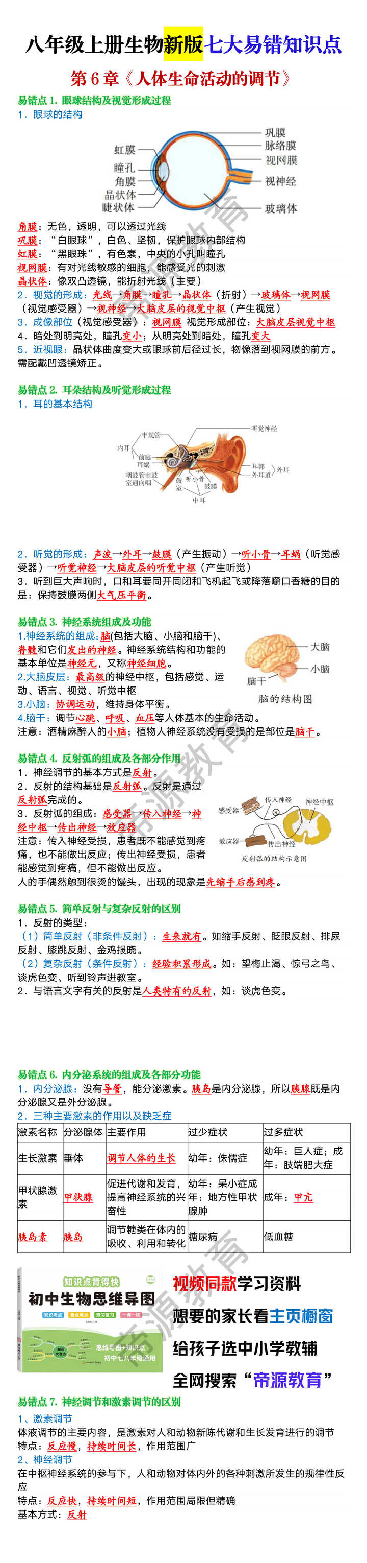 八年级上册生物第6章《人体生命活动的调节》易错知识点