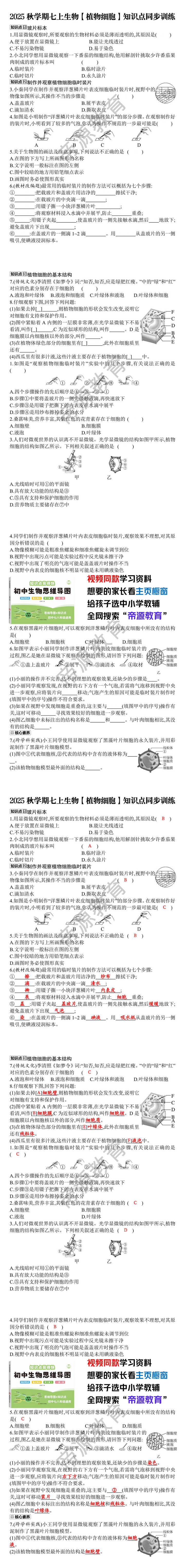 七年级上册生物【植物细胞】知识点同步训练
