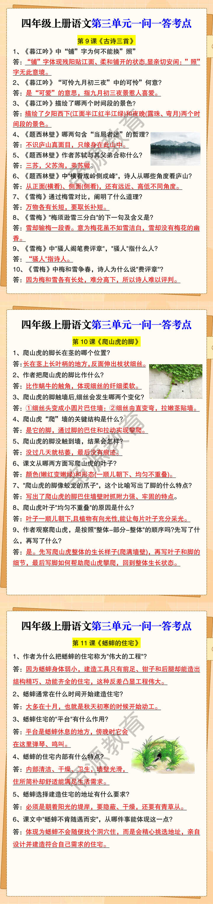 四年级上册语文第三单元一问一答考点