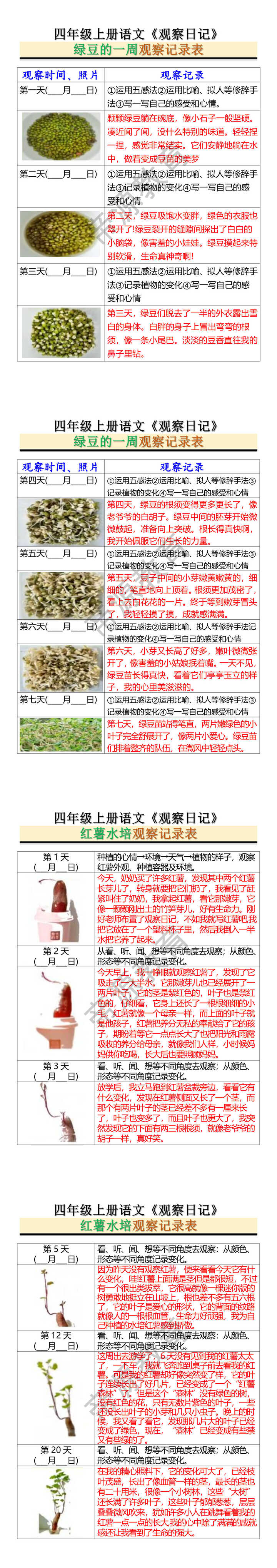 四年级上册语文《观察日记》绿豆的一周观察记录表 四年级上册语文《观察日记》绿豆的一周观察记录表