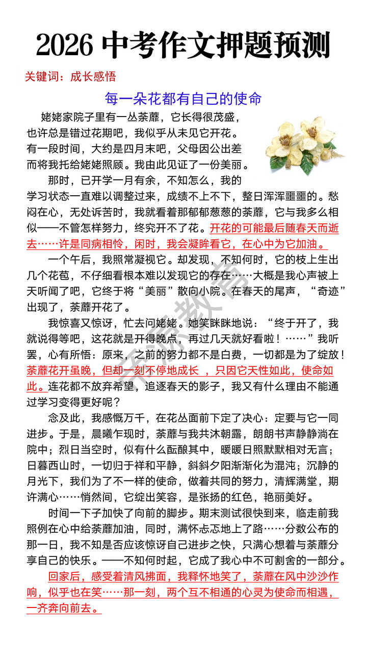 2026中考作文押题预测《每一朵花都有自己的使命》 2026中考作文押题预测《每一朵花都有自己的使命》