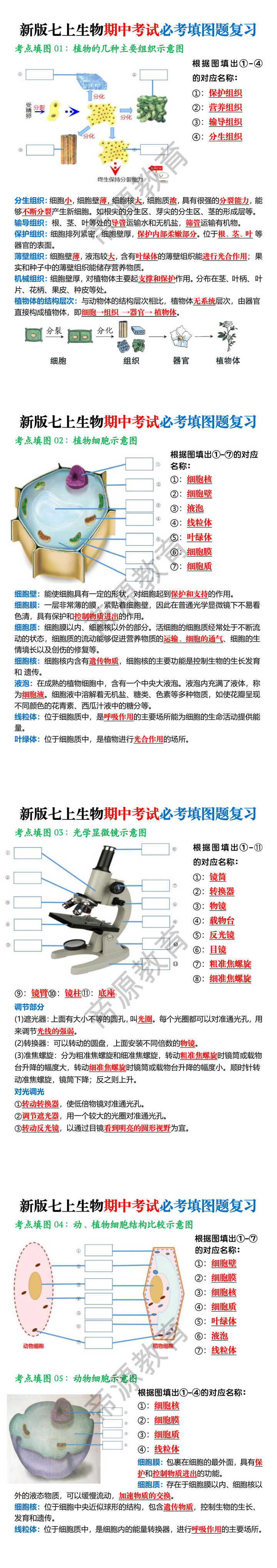 新版七上生物期中考试必考填图题复习