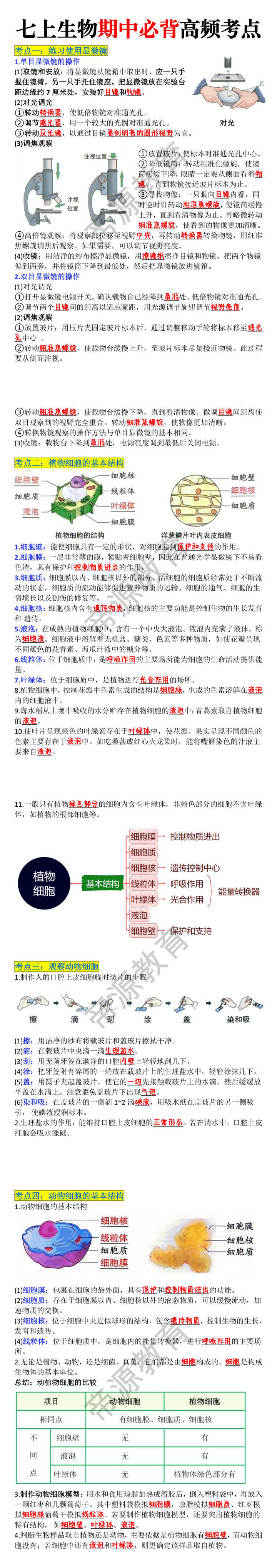 七上生物期中必背高频考点归纳