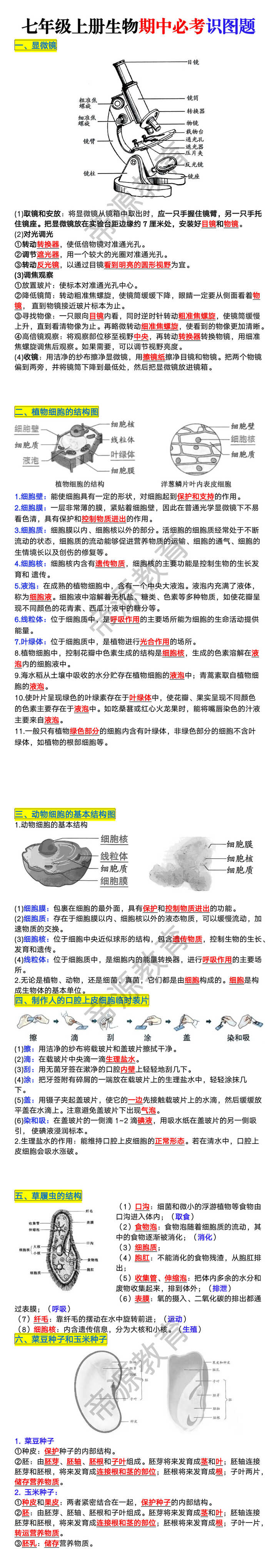 七年级上册生物期中必考识图题