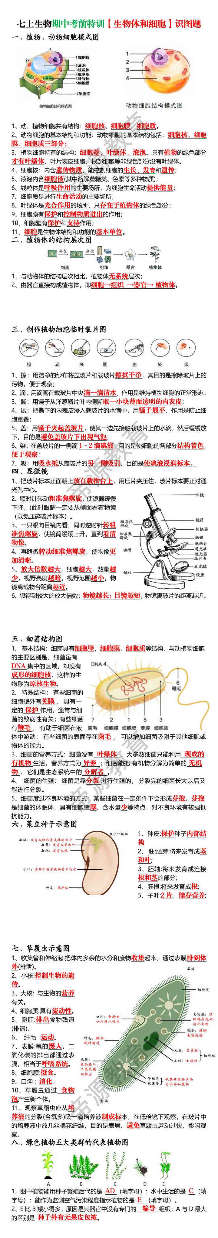 七上生物期中考前特训【生物体和细胞】识图题