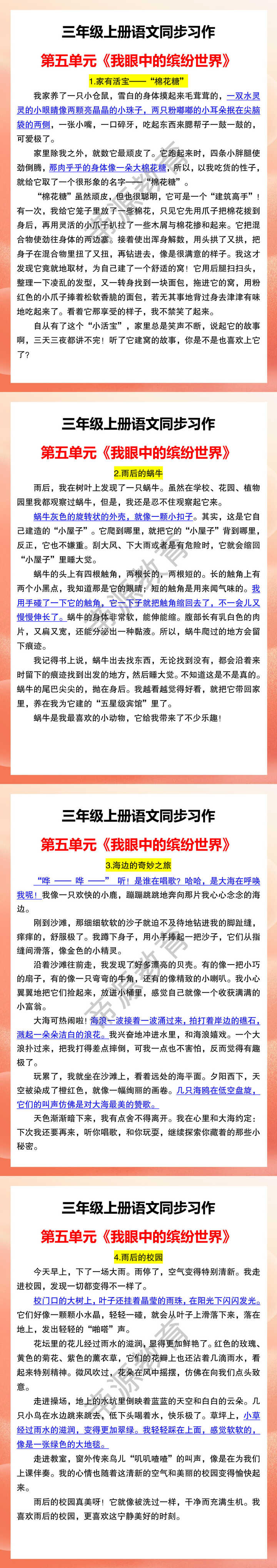 三年级上册语文同步习作 第五单元《我眼中的缤纷世界》