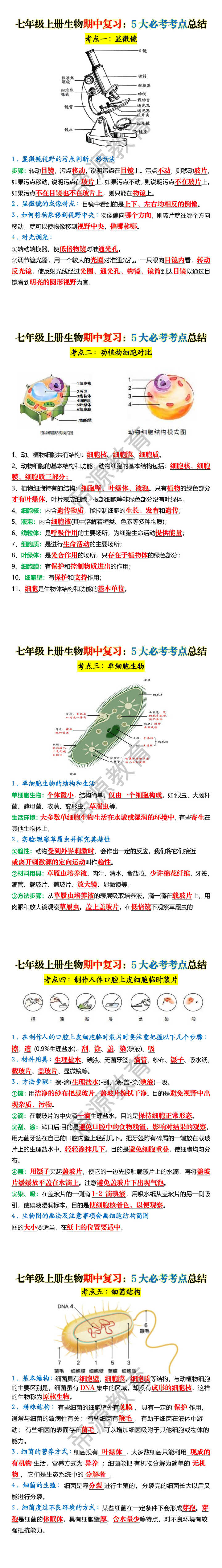 七年级上册生物期中复习:5大必考考点总结 七年级上册生物期中复习:5大必考考点总结