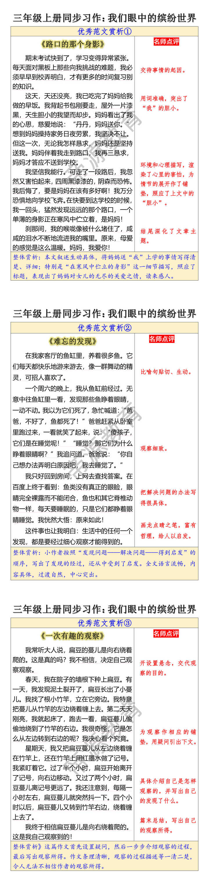 三年级上册同步习作我们眼中的缤纷世界范文