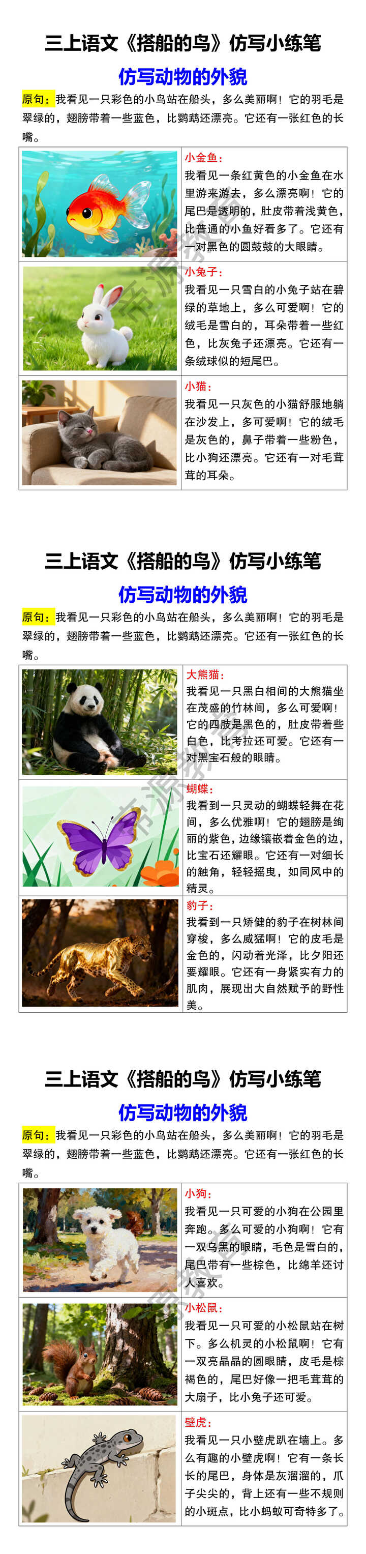 三上语文《搭船的鸟》仿写小练笔 仿写动物的外貌