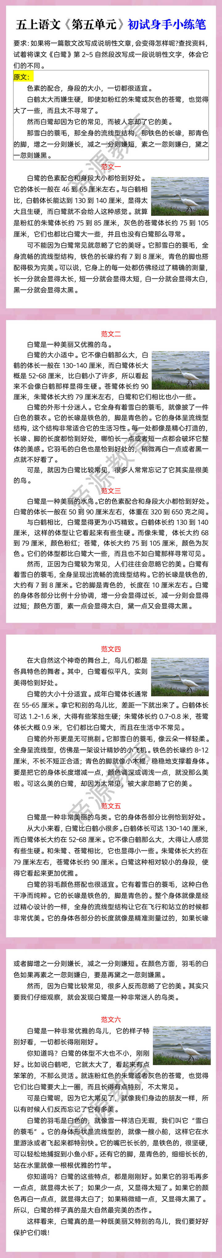 五上语文《第五单元》初试身手小练笔 五上语文《第五单元》初试身手小练笔