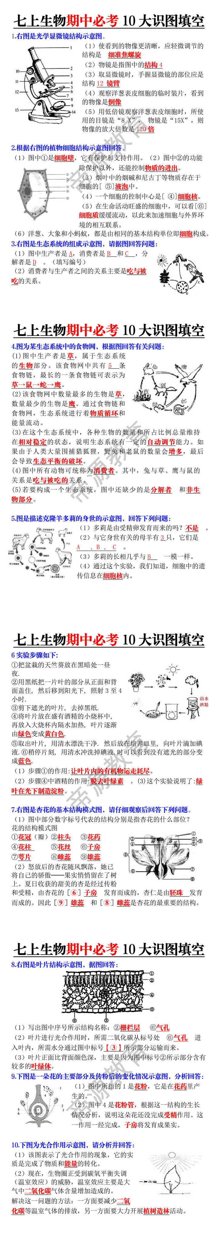 七年级上册生物期中必考10大识图填空