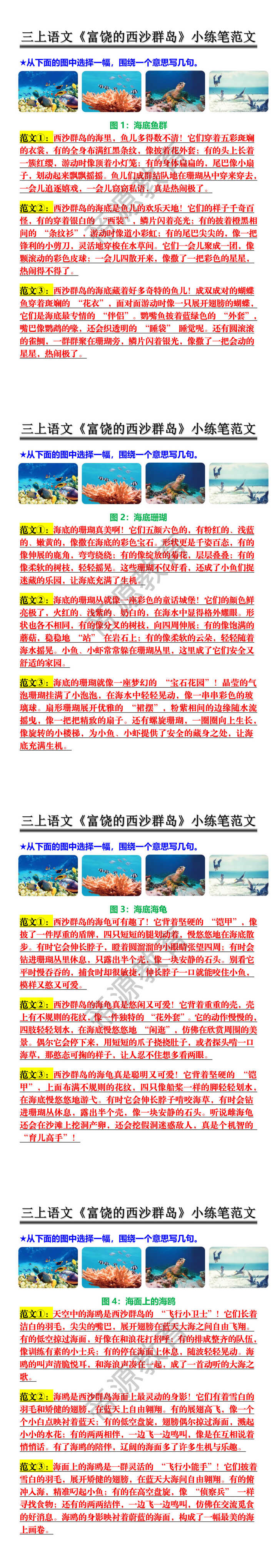 三上语文《富饶的西沙群岛》小练笔范文