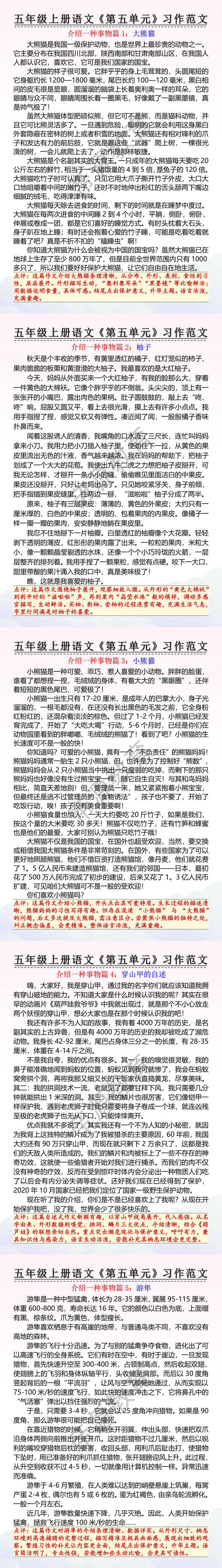 五年级上册语文第五单元习作优秀范文