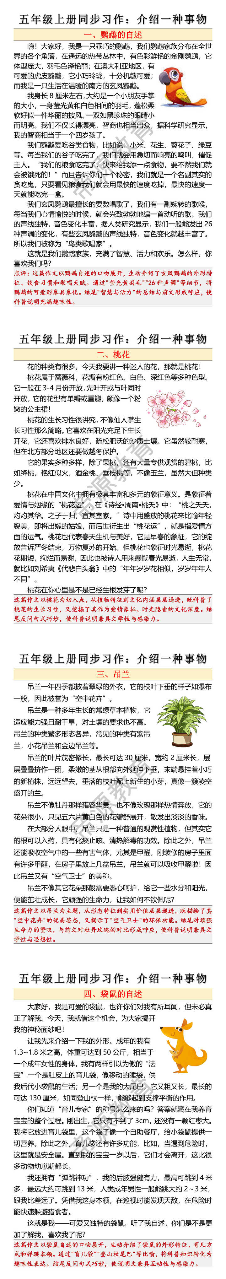 五年级上册同步习作范文:介绍一种事物 五年级上册同步习作范文:介绍一种事物