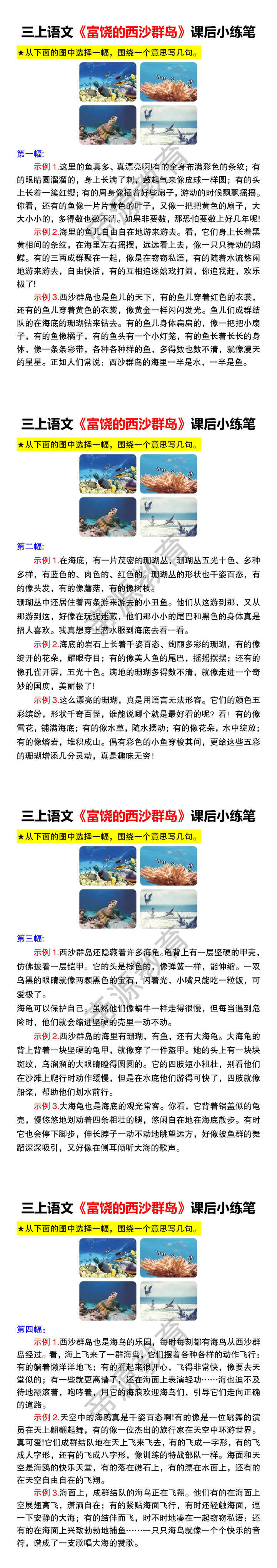 三上语文《富饶的西沙群岛》课后小练笔 三上语文《富饶的西沙群岛》课后小练笔