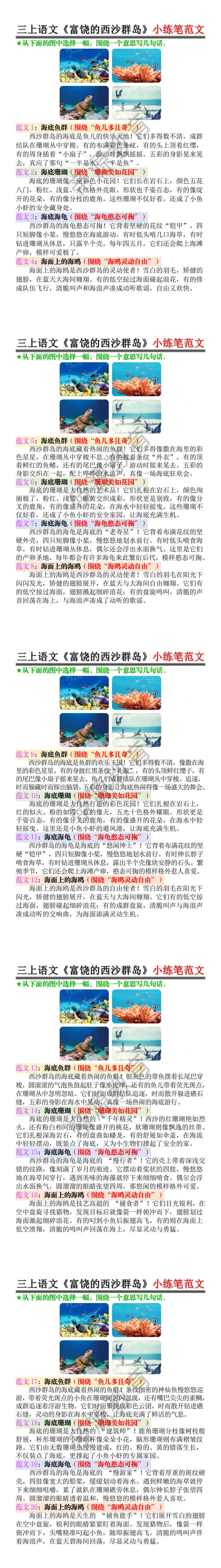 三上语文《富饶的西沙群岛》小练笔范文 三上语文《富饶的西沙群岛》小练笔范文