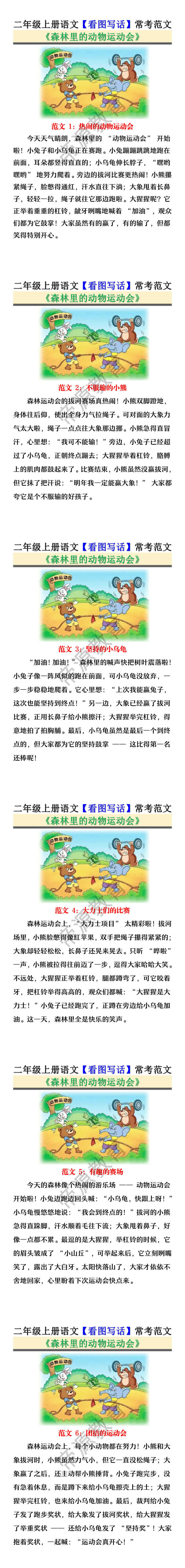 二年级上册语文看图写话《森林里的动物运动会》常考范文