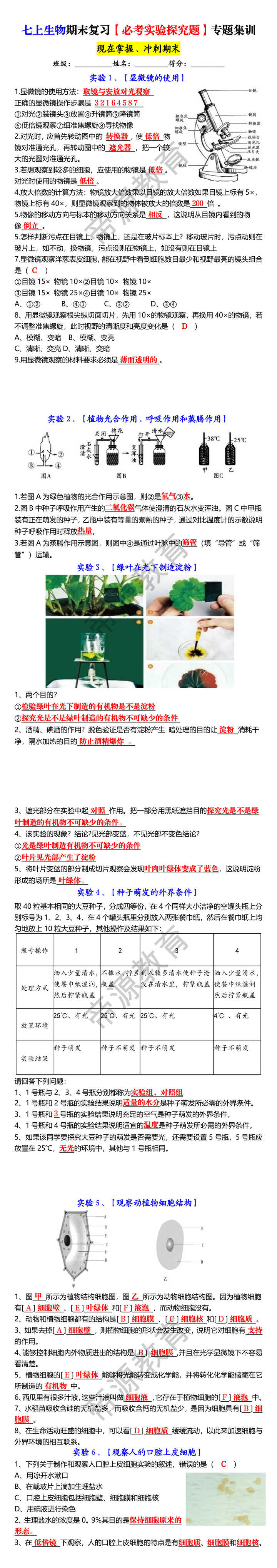 七上生物期末复习【必考实验探究题】专题集训