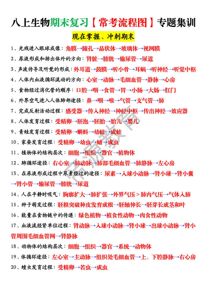 八上生物期末复习【常考流程图】专题集训 八上生物期末复习【常考流程图】专题集训
