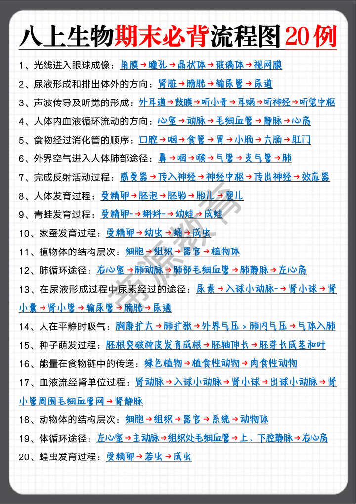 八年级上册生物期末必背流程图20例 八年级上册生物期末必背流程图20例