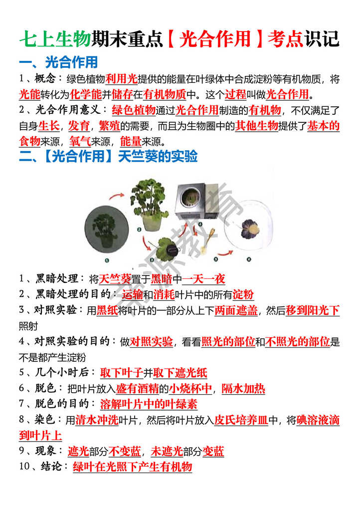 七上生物期末重点【光合作用】考点识记 七上生物期末重点【光合作用】考点识记