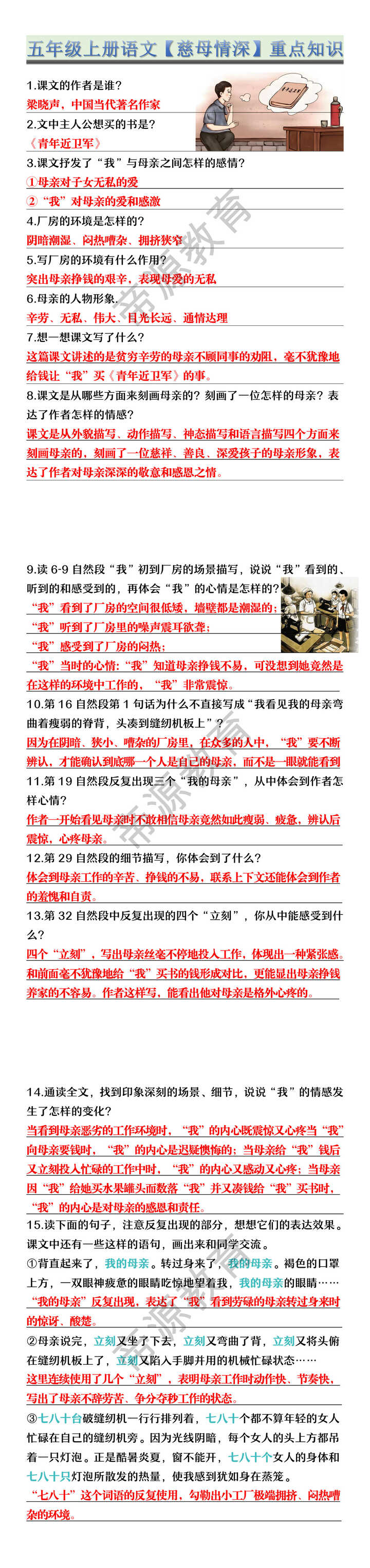 五年级上册语文【慈母情深】重点知识