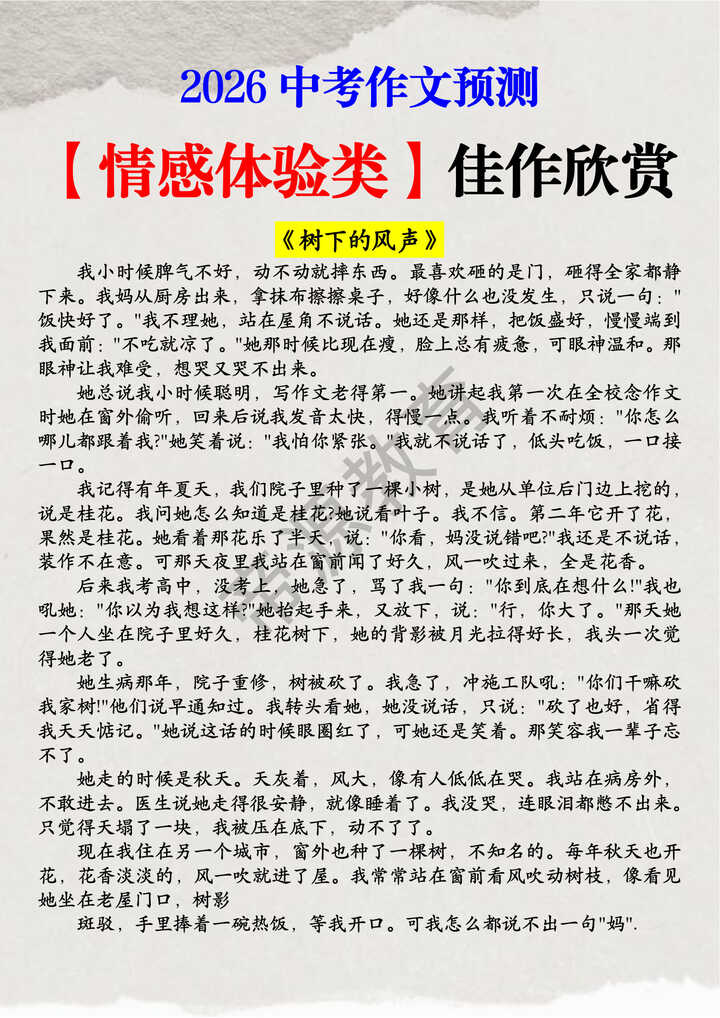 2026中考作文预测【情感体验类】佳作欣赏 2026中考作文预测【情感体验类】佳作欣赏