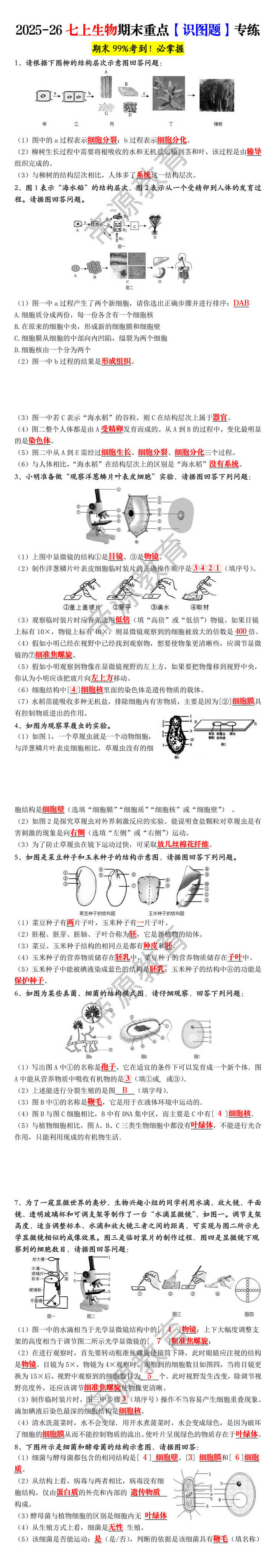2025-26七上生物期末重点【识图题】专练