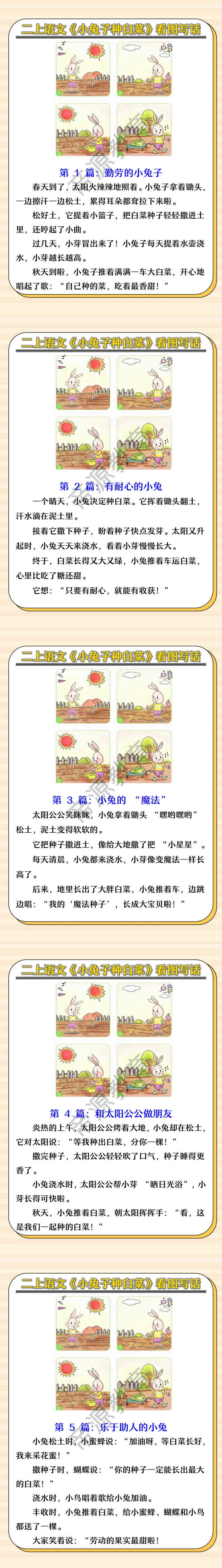 二上语文《小兔子种白菜》看图写话