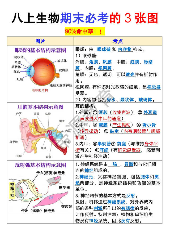 八年级上册生物期末必考的3张图