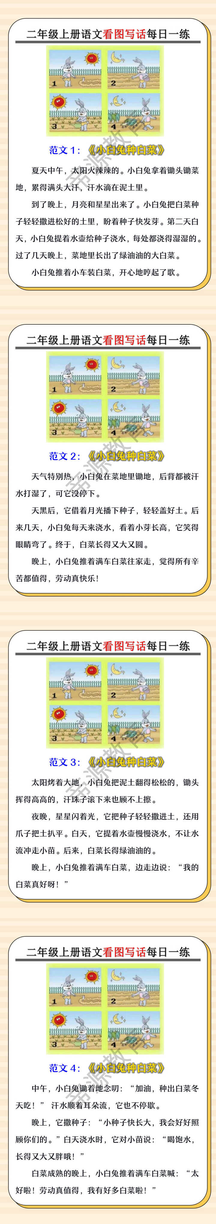 二年级上册语文看图写话每日一练《小白兔种白菜》