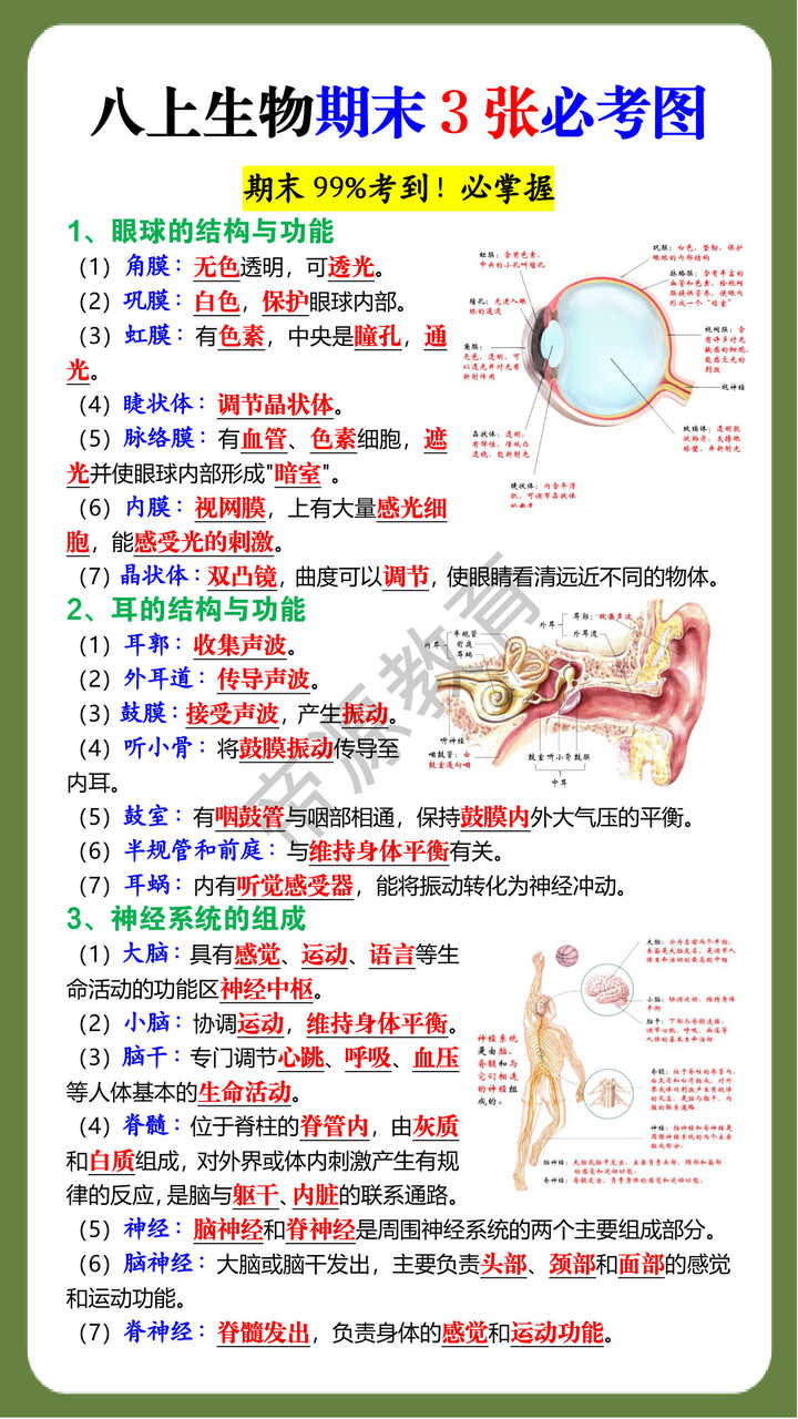 八上生物期末3张必考图 八上生物期末3张必考图