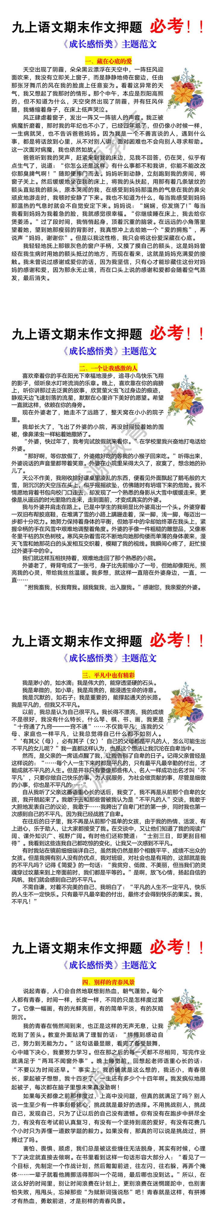 九上语文期末作文押题《成长感悟类》主题范文