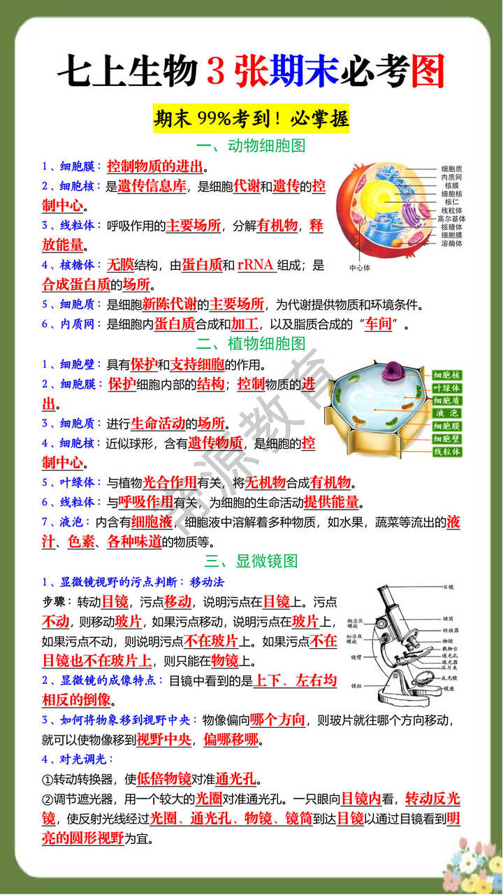 七上生物3张期末必考图