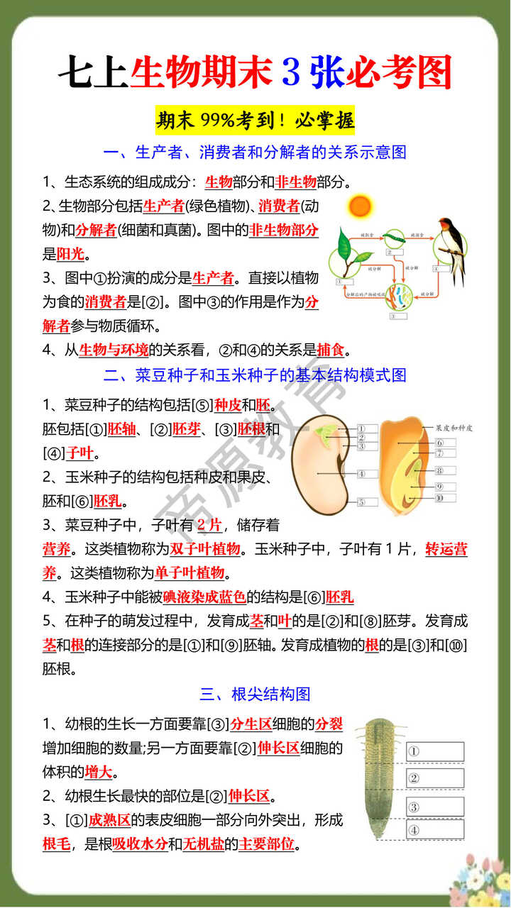 七上生物期末3张必考图
