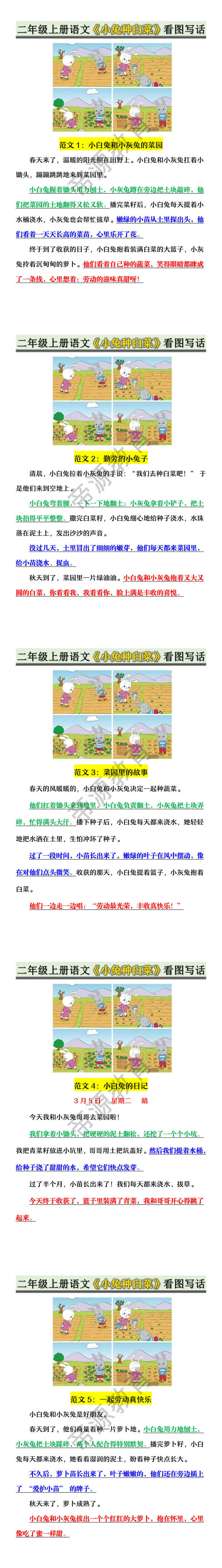 二年级上册语文《小兔种白菜》看图写话