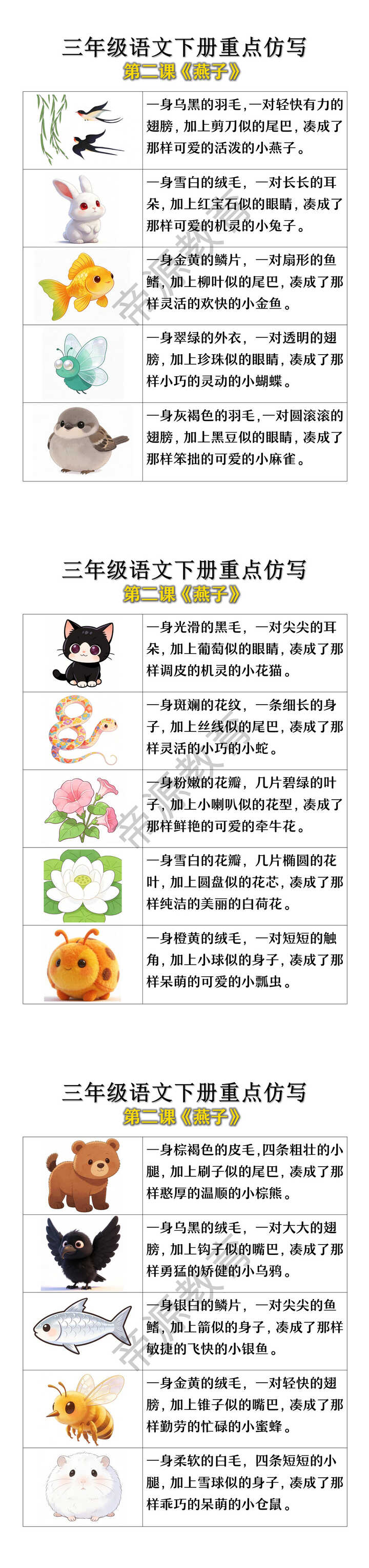 三年级语文下册重点仿写第二课《燕子》小练笔