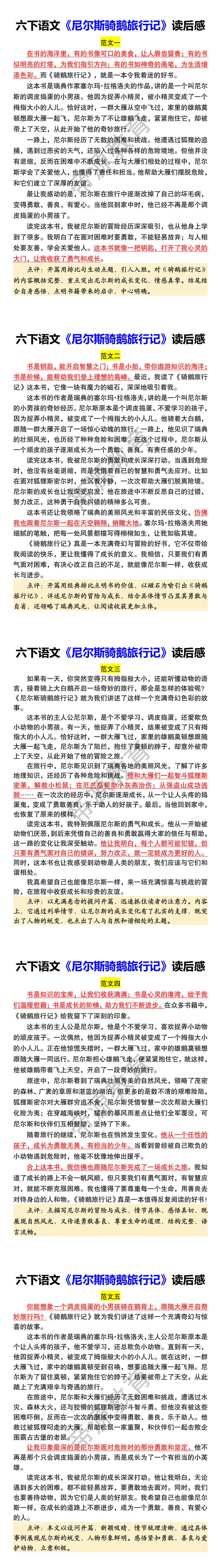 六下语文《尼尔斯骑鹅旅行记》读后感