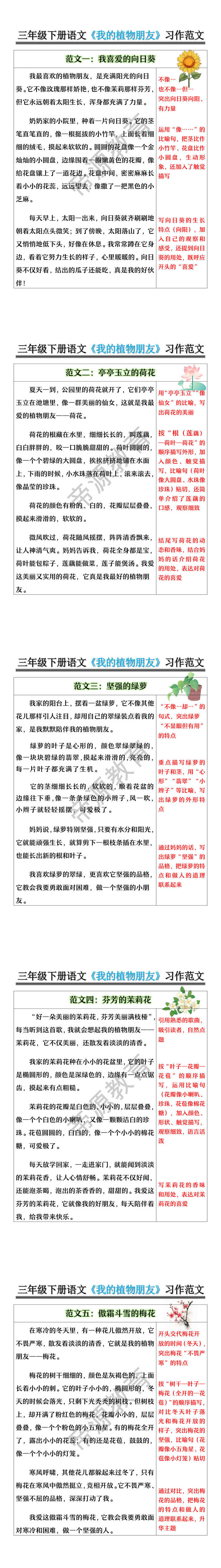 三年级下册语文《我的植物朋友》习作范文