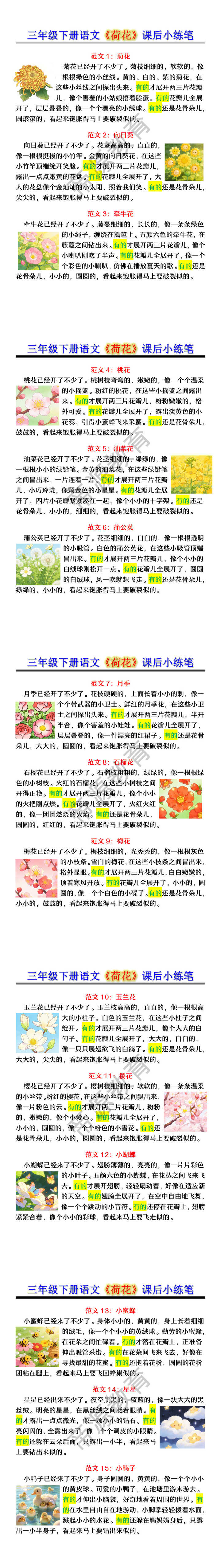 三年级下册语文《荷花》课后小练笔