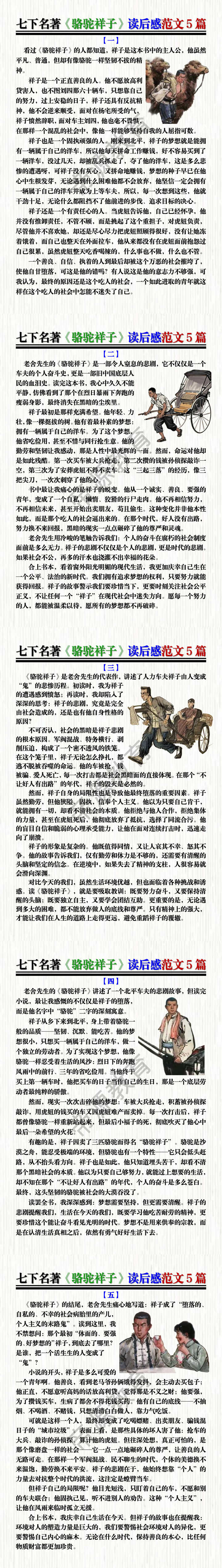 七下名著《骆驼祥子》读后感范文5篇