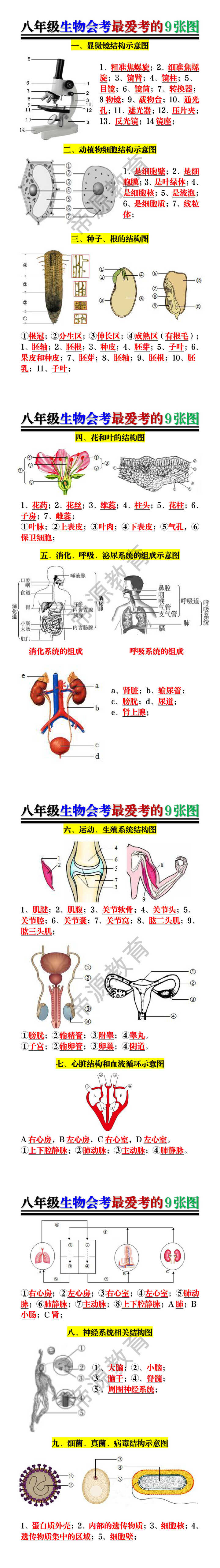 八年级生物会考最爱考的9张图