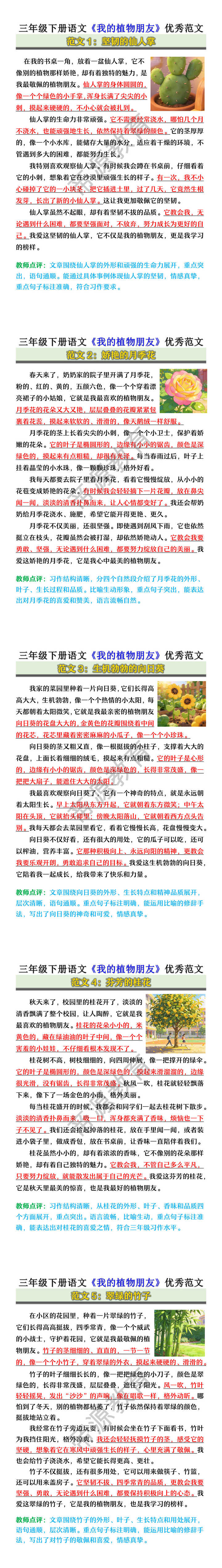 三年级下册语文《我的植物朋友》优秀范文