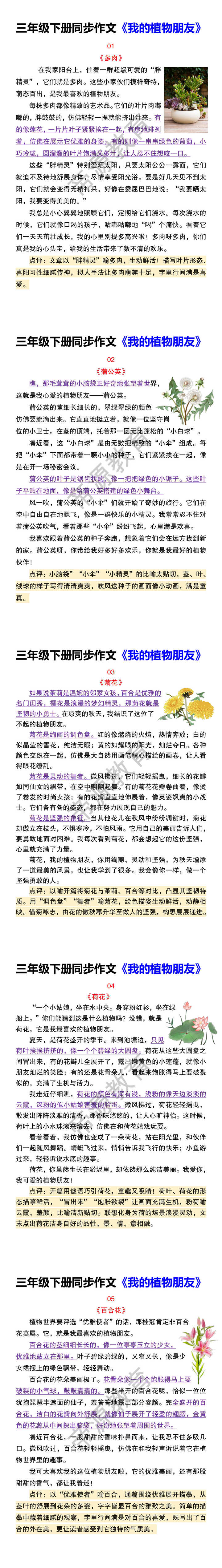 三年级下册同步作文《我的植物朋友》