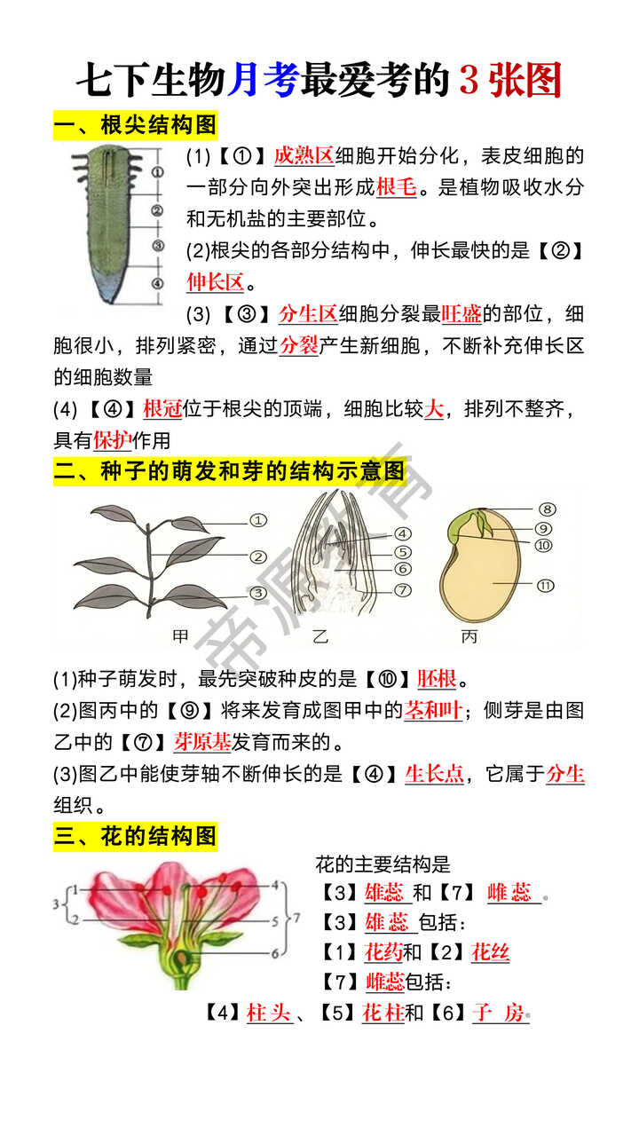 七年级下册生物月考最爱考的3张图