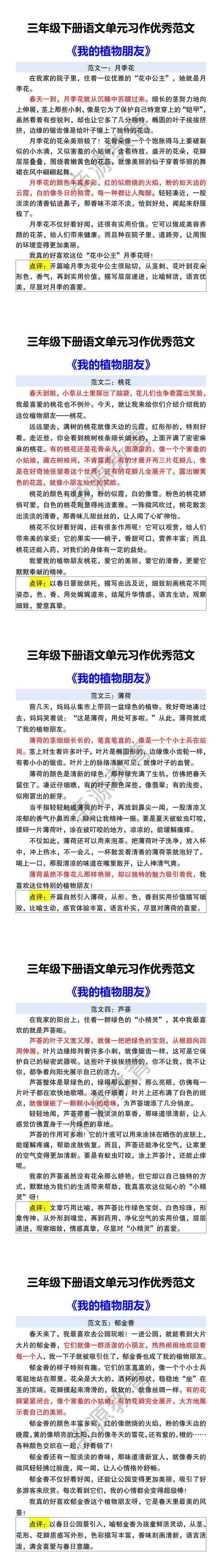 三年级下册语文单元习作优秀范文 《我的植物朋友》