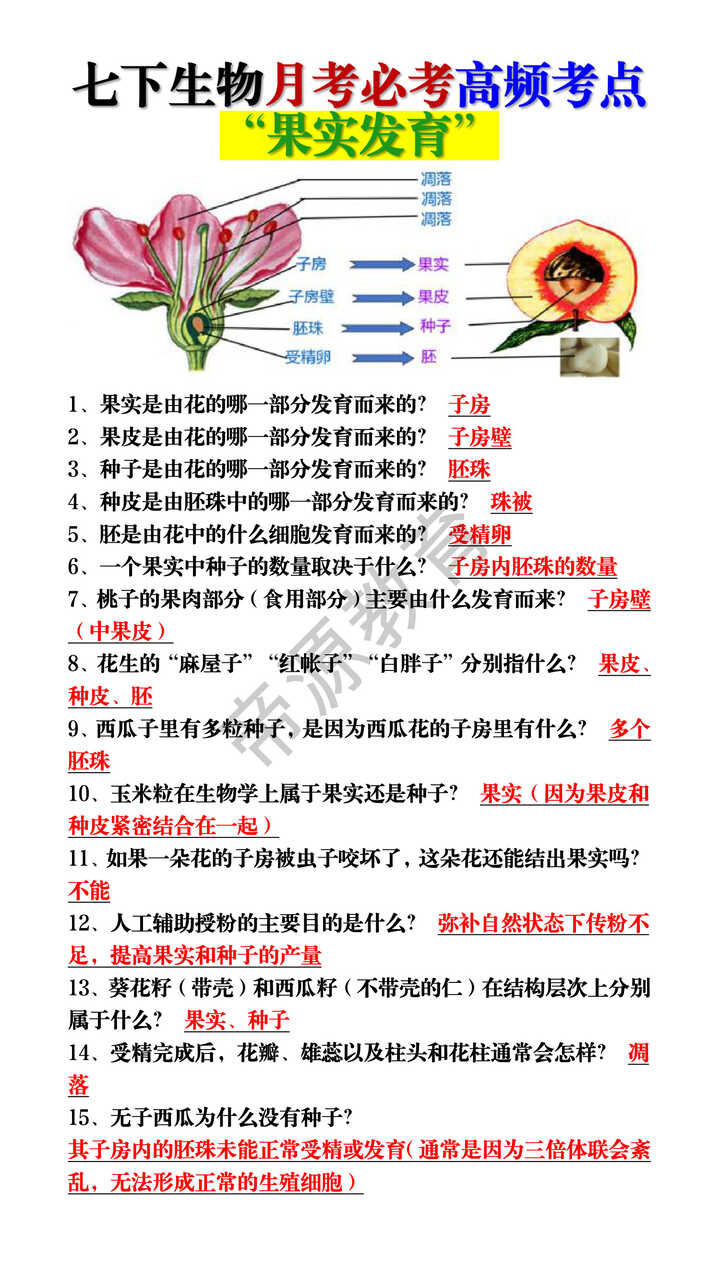 七下生物月考必考高频考点：“果实发育”